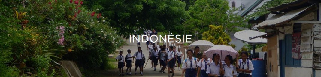 INDONESIA bandeau pays